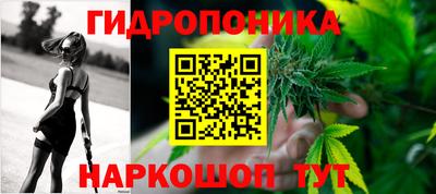 не бодяженный Гай