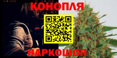 гидра Гагарин