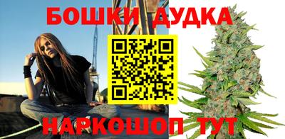 не бодяженный Гай