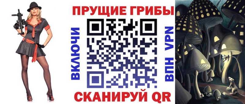 Галлюциногенные грибы Psilocybe  что такое   hydra как зайти  Кунгур 