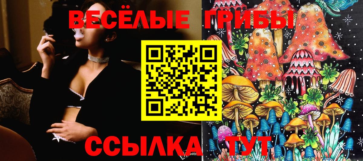 Псилоцибиновые грибы Magic Shrooms  Кунгур 