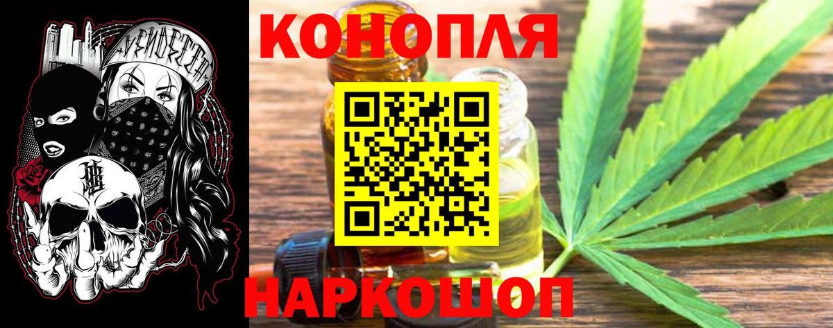 Бошки Шишки индика Кунгур